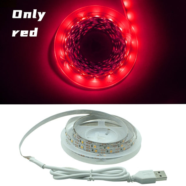 Classic Flexible LED Strip Light - ELECTROLUXE