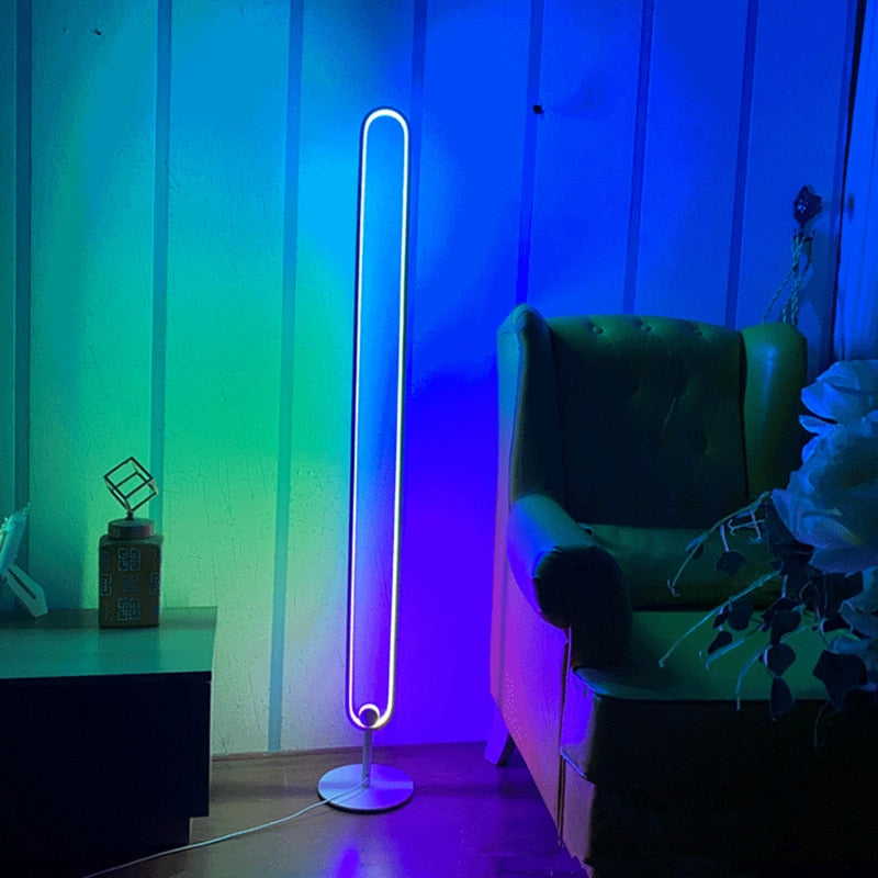 Round Minimalist Floor Lamp - ELECTROLUXE